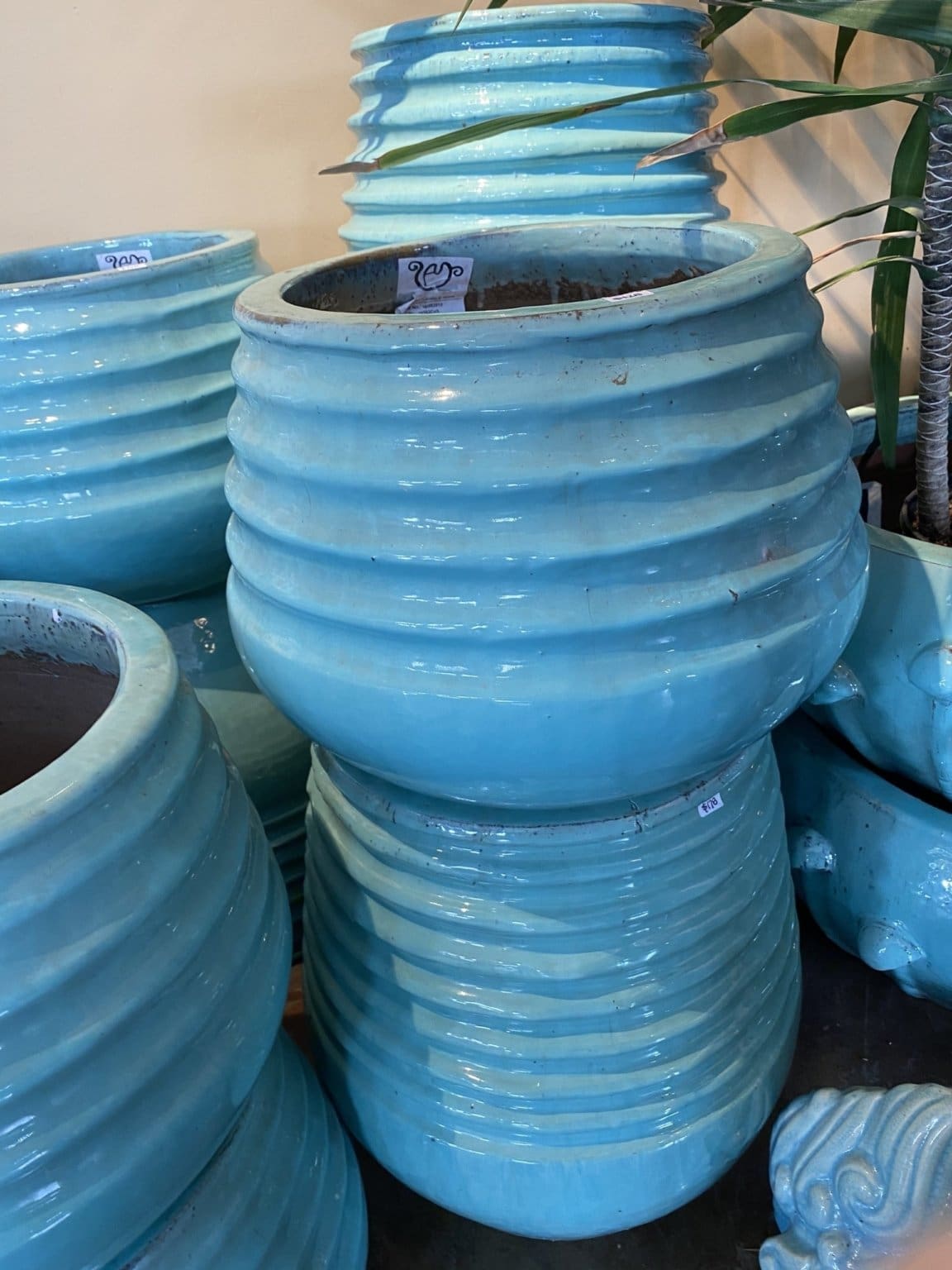 Anamese Coiled Rim Planter - Celadon